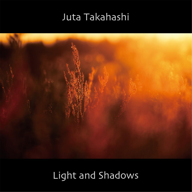 Light and Shadows album cover