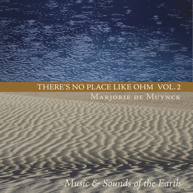 There's No Place Like Ohm Volume 2 album cover