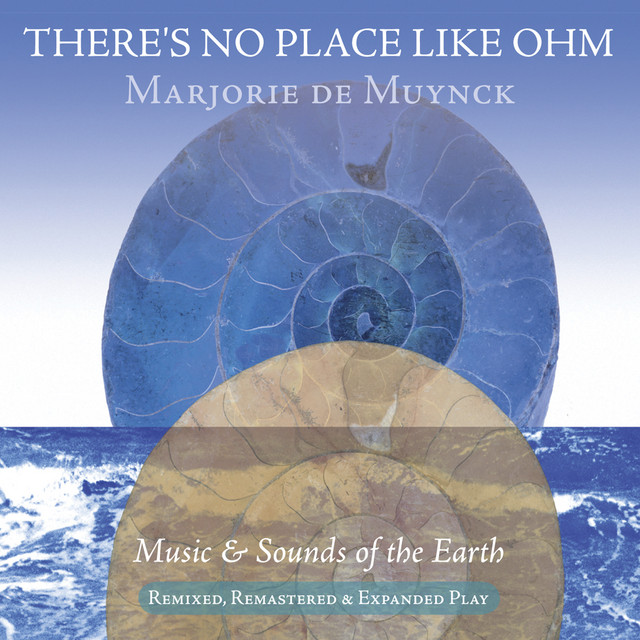 There's No Place Like Ohm album cover