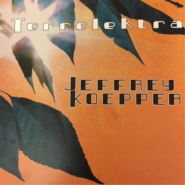 Terrelektra album cover
