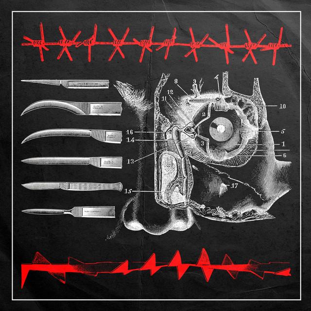 Live in Orlando, FL 3/14/2022 album cover