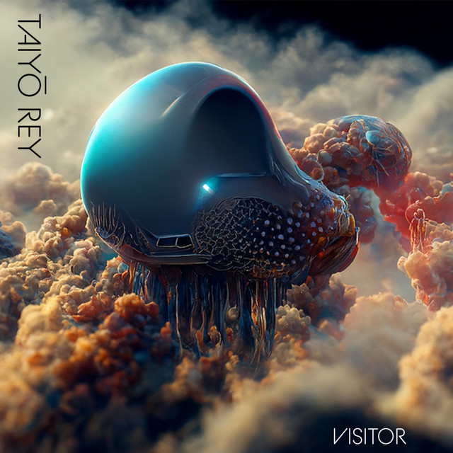 Visitor album cover