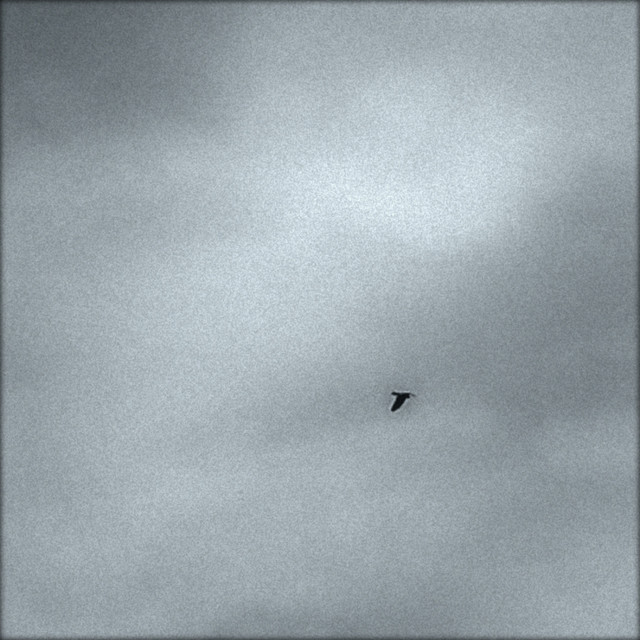 The Silent Watcher album cover