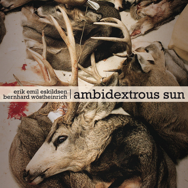Ambidextrous Sun album cover
