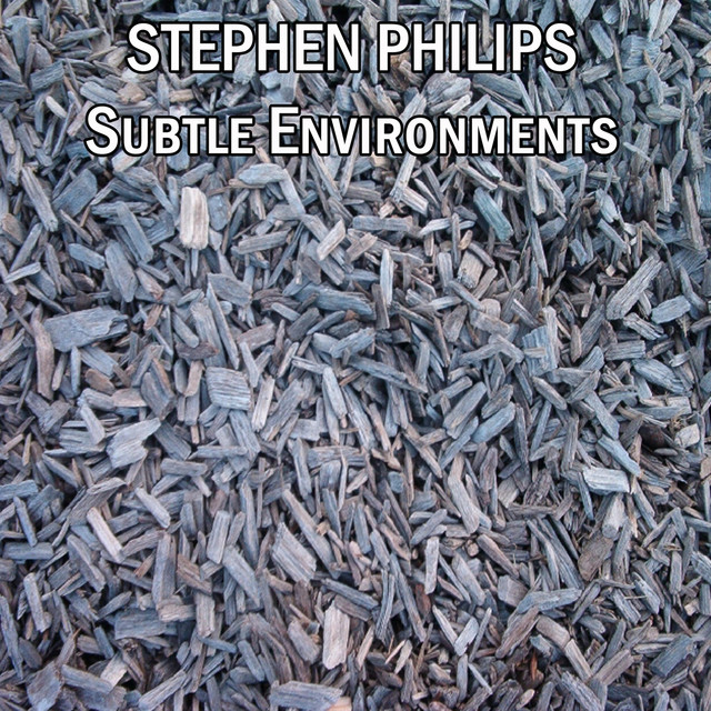 Subtle Environments album cover
