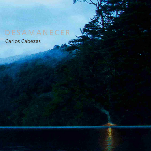 Godin SD as heard on Desamanecer by Carlos Cabezas (2010)