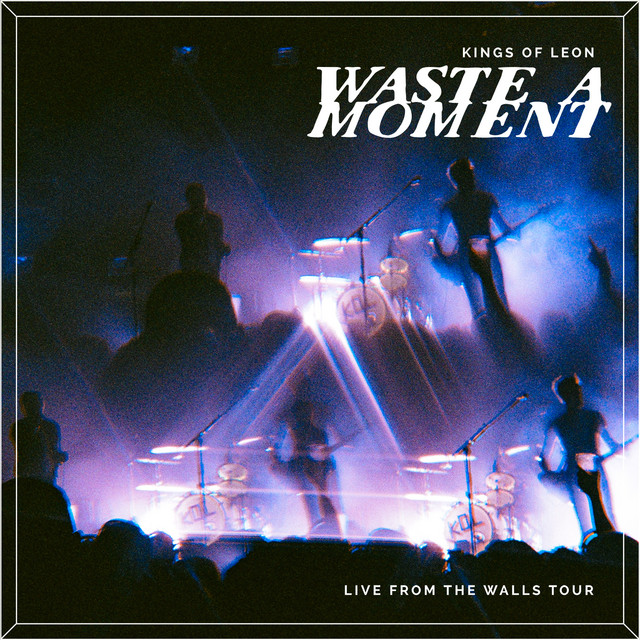 Mr. Black Supermoon as heard on Waste A Moment (Live) by Kings of Leon (2017)