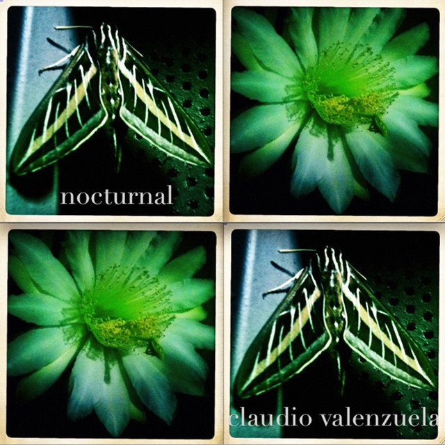 Nocturnal album cover