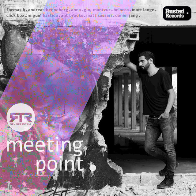 Meeting Point album cover