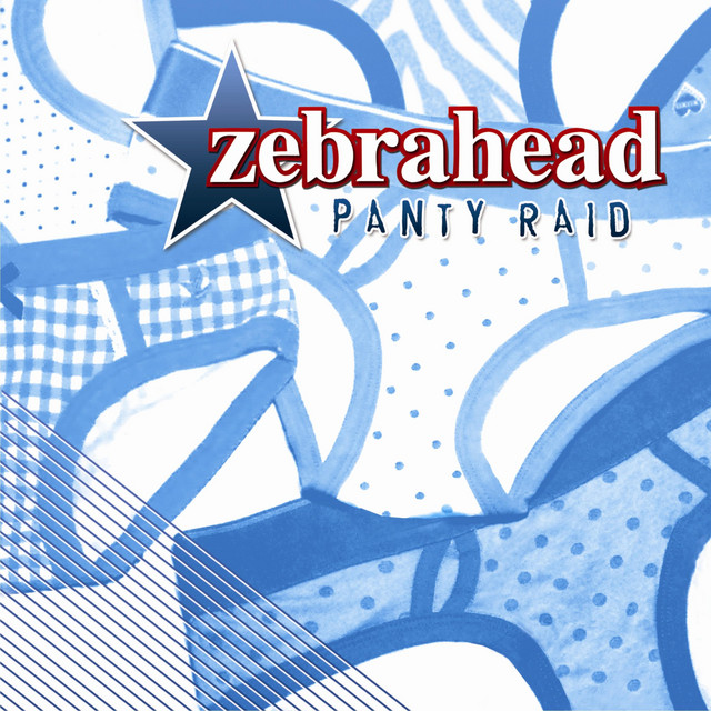 Panty Raid (Bonus Edition) album cover