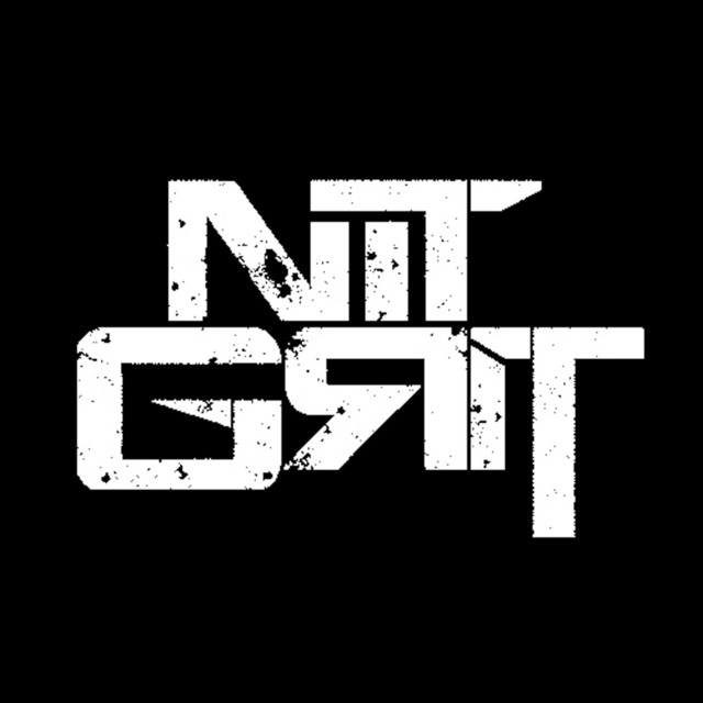 Nit Grit album cover