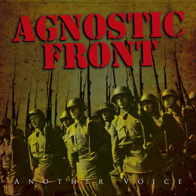 Another Voice album cover