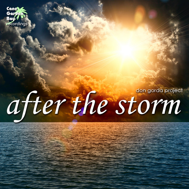 After the Storm album cover