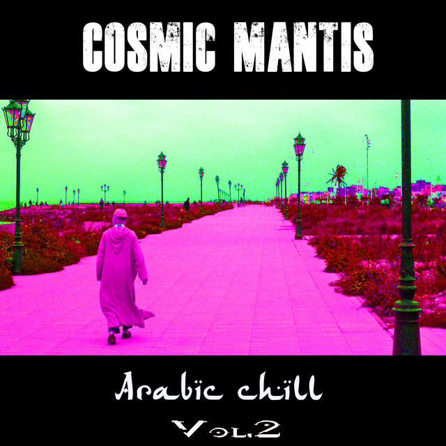 Arabic Chill Volume Two album cover