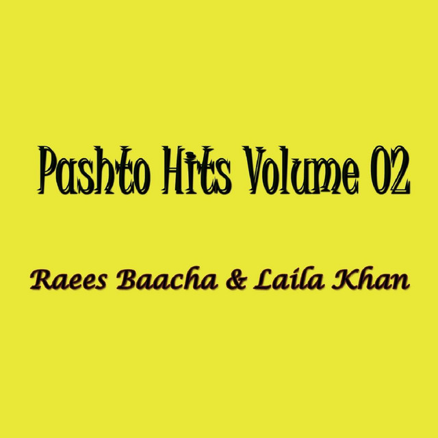 Pashto Hits Vol. 2 album cover