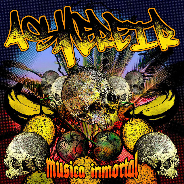 Musica Inmortal album cover