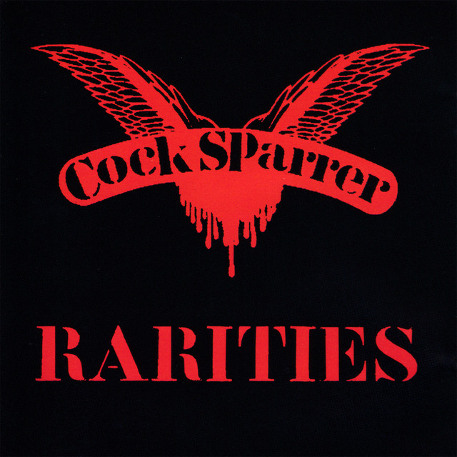 Rarities album cover