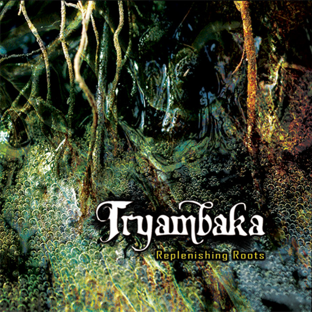 Replenishing Roots album cover