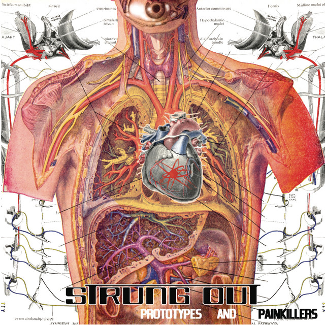 Prototypes And Painkillers album cover