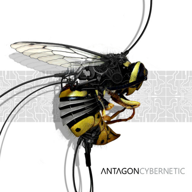 Cybernetic album cover