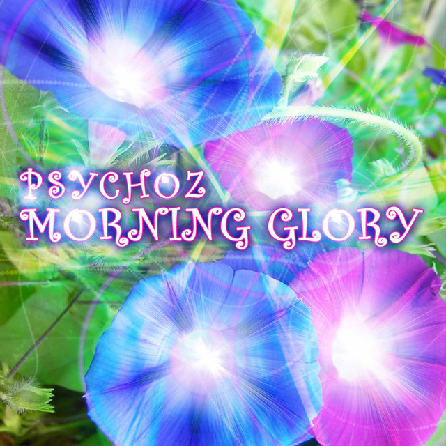 Morning Glory album cover