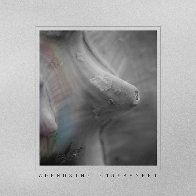 Adenosine Enserfment album cover