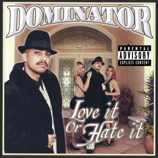 Love It Or Hate It album cover
