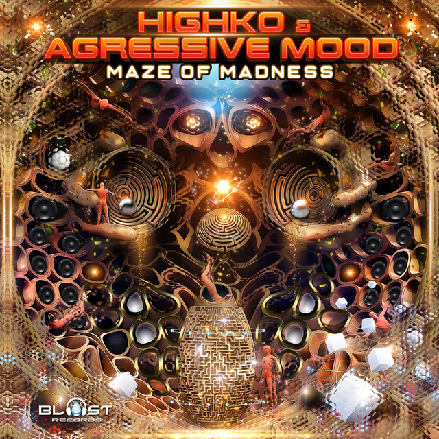 Maze of Madnes album cover