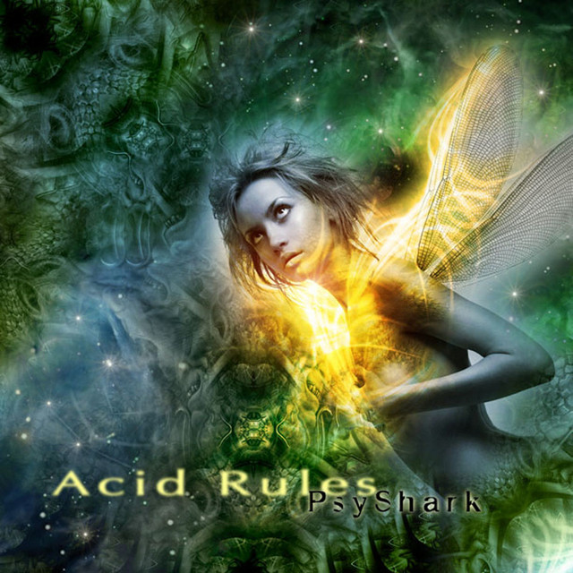 Acid Rules album cover