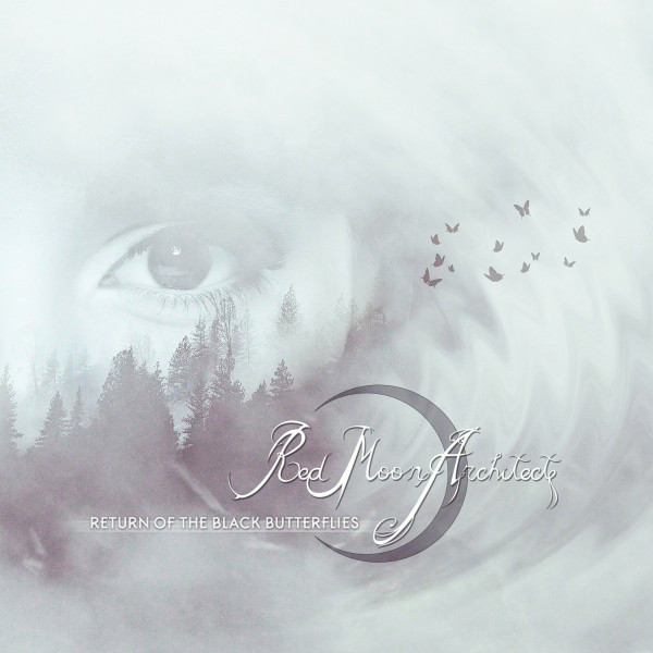 Return of the Black Butterflies album cover