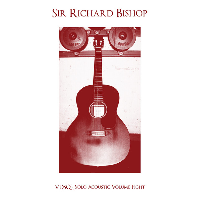 Solo Acoustic, Vol. 8 album cover