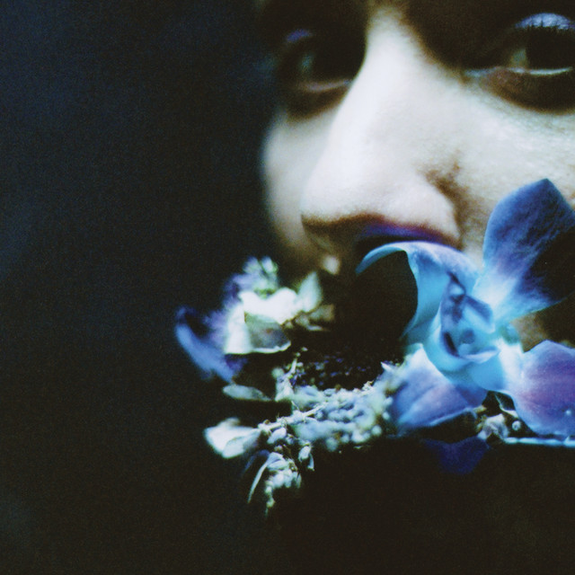 Reaching For Indigo album cover