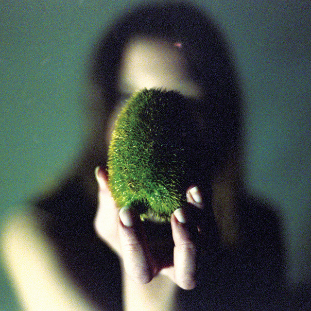 In Plain Speech album cover
