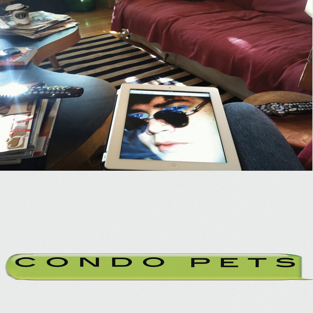 Condo Pets album cover