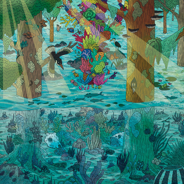 Shackamaxon Concert album cover