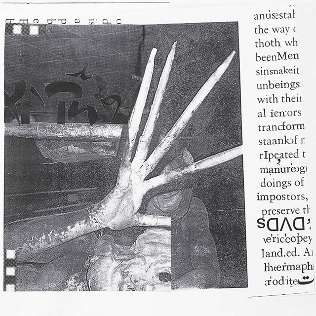 Hermaphrodite album cover