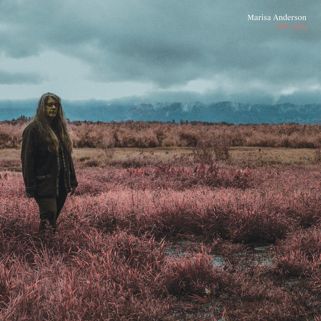 Still, Here album cover
