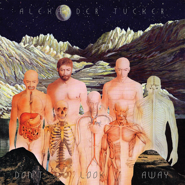 Don’t Look Away album cover