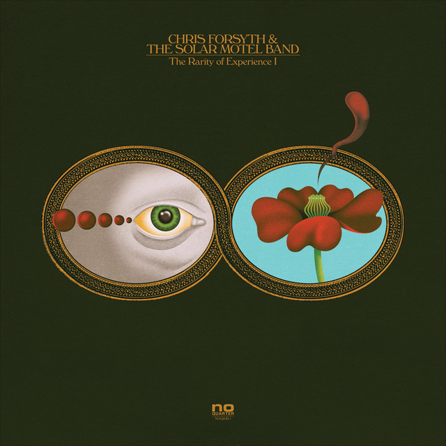 The Rarity of Experience album cover