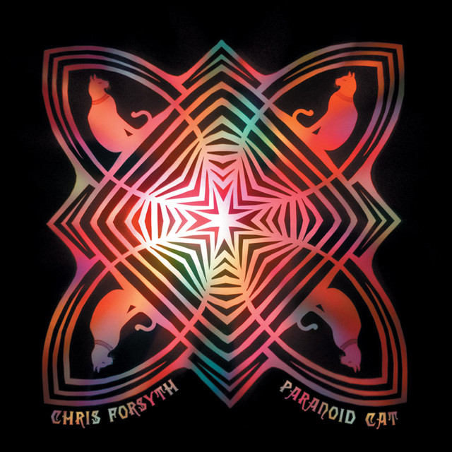 Paranoid Cat album cover