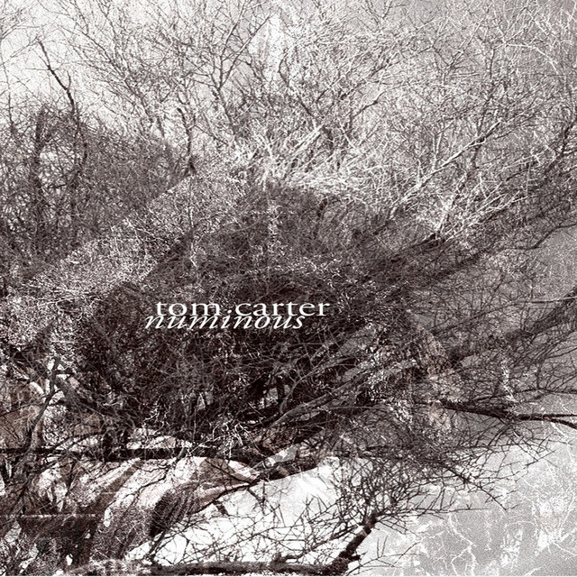 Numinous album cover