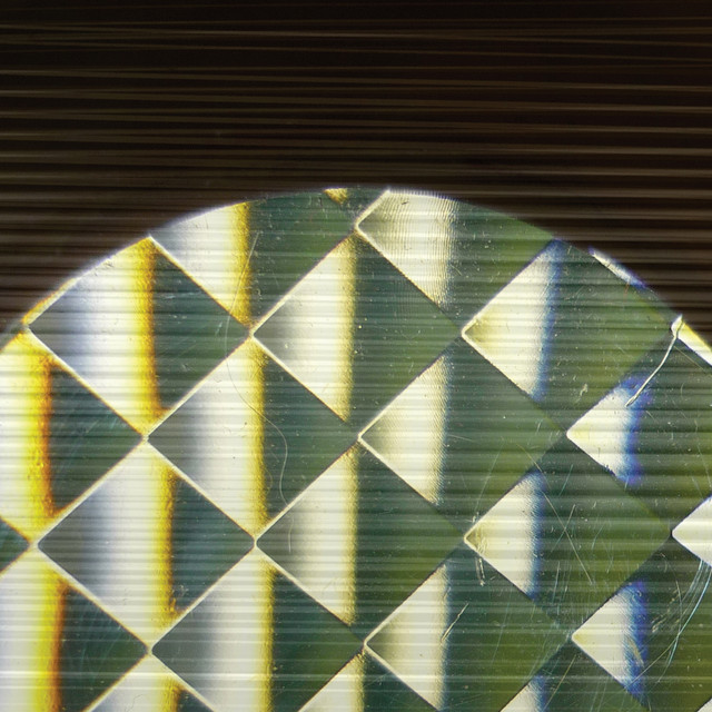 Indexical / Rhizome album cover