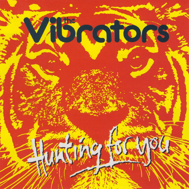 Hunting For You album cover
