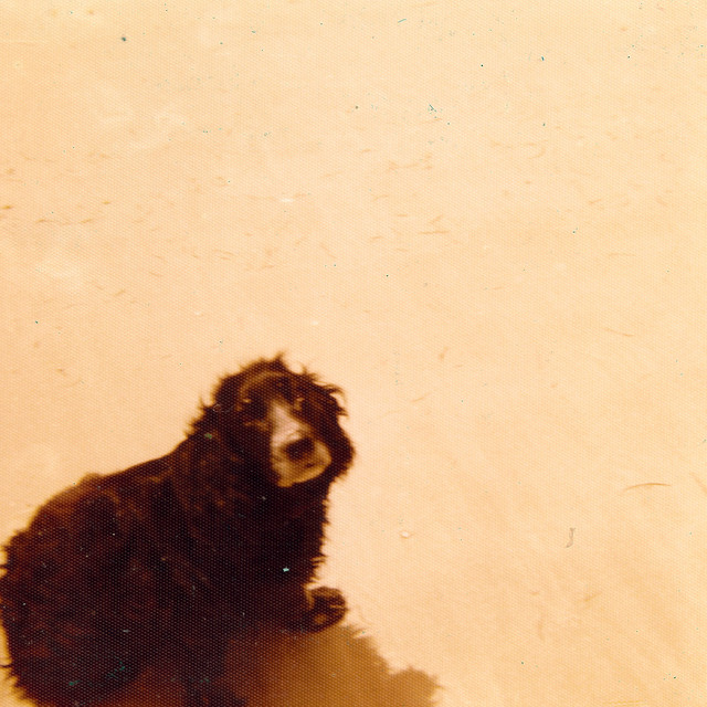 Puddles album cover