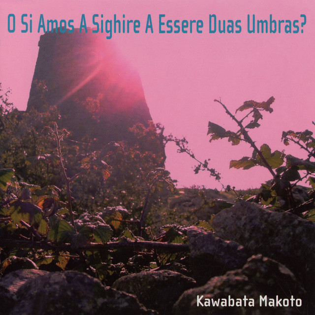 O Si Amos a Sighire a Essere Duas Umbras? album cover