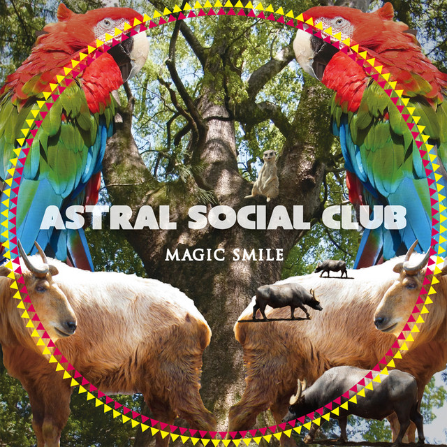 Magic Smile album cover