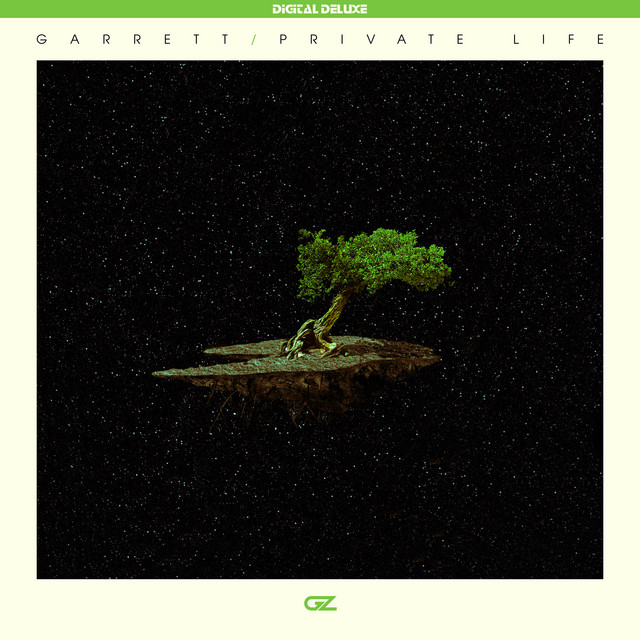 Private Life album cover