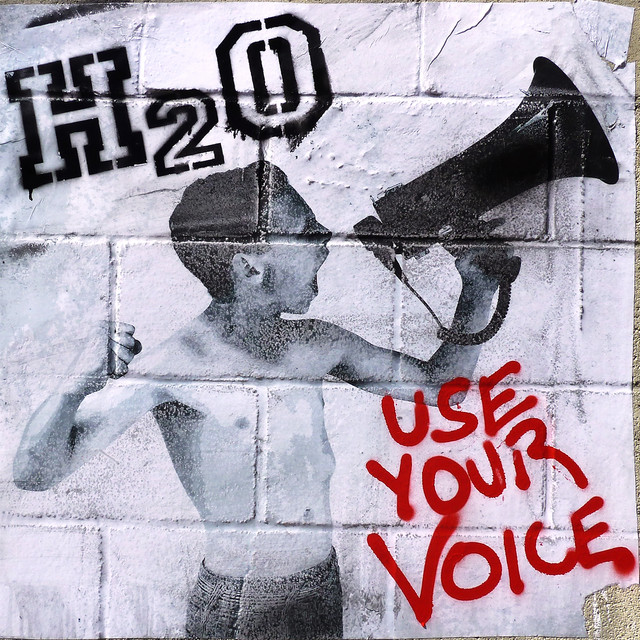 Use Your Voice album cover