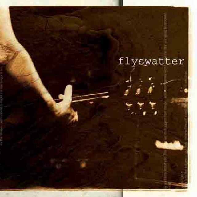 Flyswatter album cover