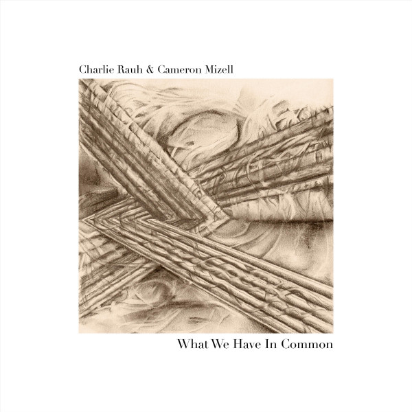 What We Have in Common album cover